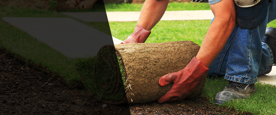 Amery Landscapers